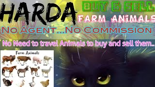 Harda :- Buy & Sale Farm Animals ♧ Cow, Buffalo, Sheeps - घर बैठें गाय भैंस खरीदें बेचें..