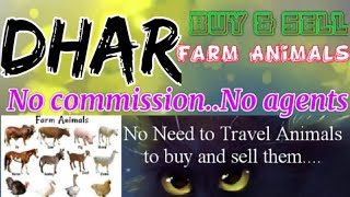 Dhar :- Buy & Sale Farm Animals ♧ Cow, Buffalo, Sheeps - घर बैठें गाय भैंस खरीदें बेचें..