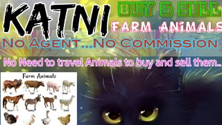 Katni :- Buy & Sale Farm Animals ♧ Cow, Buffalo, Sheeps - घर बैठें गाय भैंस खरीदें बेचें..