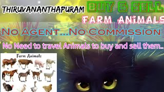 Thiruvananthapuram :- Buy & Sale Farm Animals ♧ Cow - घर बैठें गाय भैंस खरीदें बेचें..
