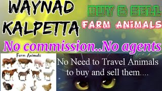 Waynad Kalpetta :- Buy & Sale Farm Animals ♧ Cow, Buffalo, Sheeps - घर बैठें गाय भैंस खरीदें बेचें..