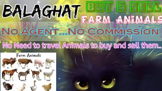 Balaghat :- Buy & Sale Farm Animals ♧ Cow, Buffalo, Sheeps - घर बैठें गाय भैंस खरीदें बेचें..