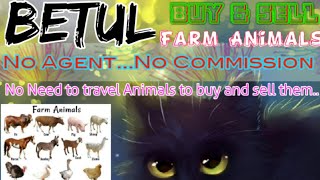 Betul :- Buy & Sale Farm Animals ♧ Cow, Buffalo, Sheeps - घर बैठें गाय भैंस खरीदें बेचें..