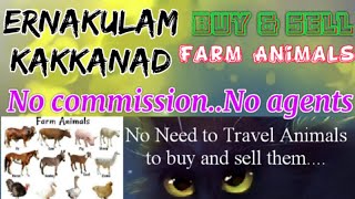 Ernakulam Kakkand :- Buy & Sale Farm Animals ♧ Cow -घर बैठें गाय भैंस खरीदें बेचें..