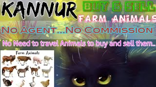 Kannur :- Buy & Sale Farm Animals ♧ Cow, Buffalo, Sheeps - घर बैठें गाय भैंस खरीदें बेचें..