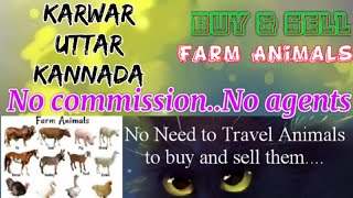 Karwar Uttar Kannada :- Buy & Sale Farm Animals ♧ Cow -घर बैठें गाय भैंस खरीदें बेचें..