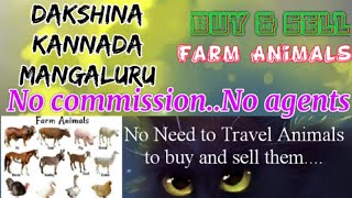 Dakshin kannada Mangaluru :- Buy & Sale Farm Animals ♧ Cow -घर बैठें गाय भैंस खरीदें बेचें..