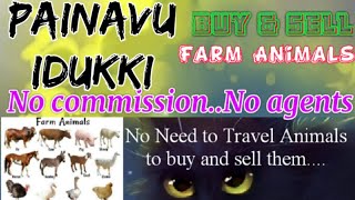 Painavi Idukki :- Buy & Sale Farm Animals ♧ Cow, Buffalo, Sheeps - घर बैठें गाय भैंस खरीदें बेचें..