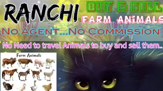 Ranchi :- Buy & Sale Farm Animals ♧ Cow, Buffalo, Sheeps - घर बैठें गाय भैंस खरीदें बेचें..