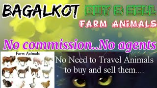 Bagalkot :- Buy & Sale Farm Animals ♧ Cow, Buffalo, Sheeps - घर बैठें गाय भैंस खरीदें बेचें..