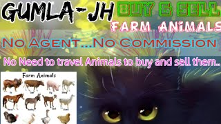 Gumla :- Buy & Sale Farm Animals ♧ Cow, Buffalo, Sheeps - घर बैठें गाय भैंस खरीदें बेचें..