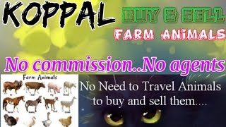 Koppal :- Buy & Sale Farm Animals ♧ Cow, Buffalo, Sheeps - घर बैठें गाय भैंस खरीदें बेचें..