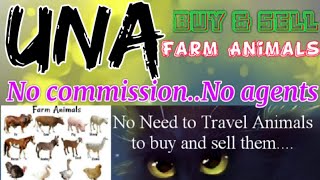 Una :- Buy & Sale Farm Animals ♧ Cow, Buffalo, Sheeps - घर बैठें गाय भैंस खरीदें बेचें..