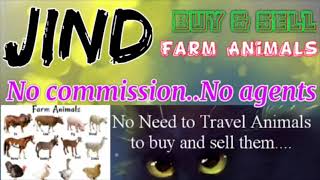 Jind :- Buy & Sale Farm Animals ♧ Cow, Buffalo, Sheeps - घर बैठें गाय भैंस खरीदें बेचें..