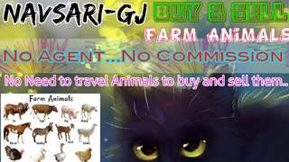 Navsari :- Buy & Sale Farm Animals ♧ Cow, Buffalo, Sheeps - घर बैठें गाय भैंस खरीदें बेचें..