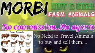 Morbi :- Buy & Sale Farm Animals ♧ Cow, Buffalo, Sheeps - घर बैठें गाय भैंस खरीदें बेचें..
