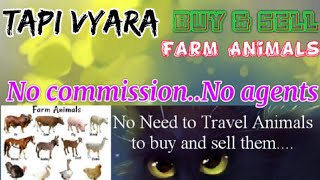 Tapi Vyara :- Buy & Sale Farm Animals ♧ Cow, Buffalo, Sheeps - घर बैठें गाय भैंस खरीदें बेचें..