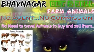 Bhavnagar :- Buy & Sale Farm Animals ♧ Cow, Buffalo, Sheeps - घर बैठें गाय भैंस खरीदें बेचें..