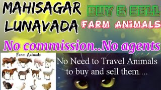 Mahisagar Lunavada :- Buy & Sale Farm Animals ♧ Cow, - घर बैठें गाय भैंस खरीदें बेचें..