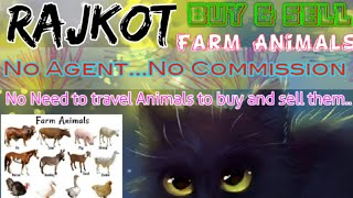 Rajkot :- Buy & Sale Farm Animals ♧ Cow, Buffalo, Sheeps - घर बैठें गाय भैंस खरीदें बेचें..