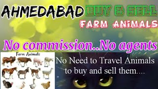 Ahmedabad :- Buy & Sale Farm Animals ♧ Cow, Buffalo, Sheeps - घर बैठें गाय भैंस खरीदें बेचें..