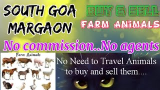 South Goa Panaji :- Buy & Sale Farm Animals ♧ Cow - घर बैठें गाय भैंस खरीदें बेचें..