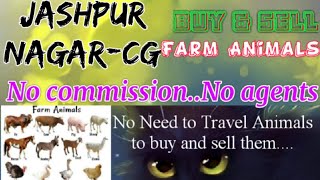 Jashpur Nagar :- Buy & Sale Farm Animals ♧ Cow, Buffalo, Sheeps - घर बैठें गाय भैंस खरीदें बेचें..