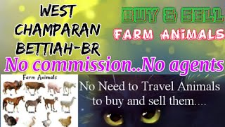 West Champaran Bettiah :- Buy & Sale Farm Animals ♧ Cow घर बैठें गाय भैंस खरीदें बेचें..