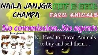 Naila Janjgir Champa :- Buy & Sale Farm Animals ♧ Cow घर बैठें गाय भैंस खरीदें बेचें..