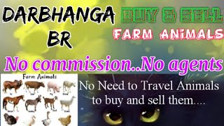 Darbhanga :- Buy & Sale Farm Animals ♧ Cow, Buffalo, Sheeps - घर बैठें गाय भैंस खरीदें बेचें..