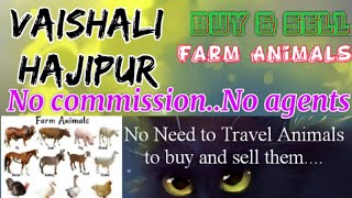 Vaishali Hajipur :- Buy & Sale Farm Animals ♧ Cow घर बैठें गाय भैंस खरीदें बेचें..