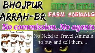 Bhojpur Arrah :- Buy & Sale Farm Animals ♧ Cow, Buffalo, Sheeps - घर बैठें गाय भैंस खरीदें बेचें..