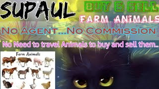 Supaul :- Buy & Sale Farm Animals ♧ Cow, Buffalo, Sheeps - घर बैठें गाय भैंस खरीदें बेचें..