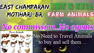 East Champaran Motihari :- Buy & Sale Farm Animals ♧ Cow - घर बैठें गाय भैंस खरीदें बेचें..