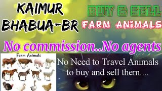 Kaimur Bhabua :- Buy & Sale Farm Animals ♧ Cow, Buffalo, Sheeps - घर बैठें गाय भैंस खरीदें बेचें..