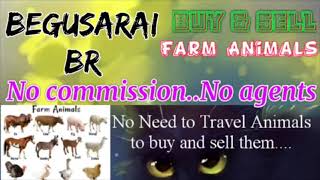 Begusarai :- Buy & Sale Farm Animals ♧ Cow, Buffalo, Sheeps - घर बैठें गाय भैंस खरीदें बेचें..