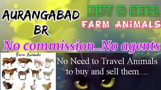 Aurangabad :- Buy & Sale Farm Animals ♧ Cow, Buffalo, Sheeps - घर बैठें गाय भैंस खरीदें बेचें..