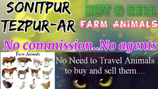 Sonitpur Tezpur :- Buy & Sale Farm Animals ♧ Cow, Buffalo, Sheeps - घर बैठें गाय भैंस खरीदें बेचें..
