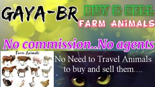 Gaya :- Buy & Sale Farm Animals ♧ Cow, Buffalo, Sheeps - घर बैठें गाय भैंस खरीदें बेचें..