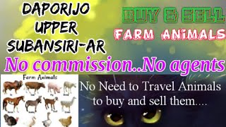 Daporijo Upper Subansiri :- Buy & Sale Farm Animals ♧ Cows - घर बैठें गाय भैंस खरीदें बेचें..