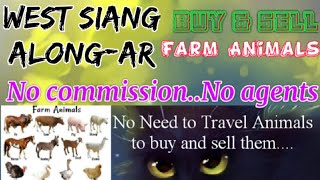West Siang Along :- Buy & Sale Farm Animals ♧ Cows - घर बैठें गाय भैंस खरीदें बेचें..