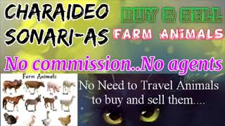 Charaideo Sonari :- Buy & Sale Farm Animals ♧ Cows - घर बैठें गाय भैंस खरीदें बेचें..