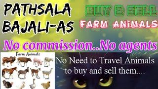 Pathsala Bajali :- Buy & Sale Farm Animals ♧ Cow, Buffalo, Sheeps - घर बैठें गाय भैंस खरीदें बेचें..