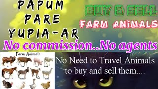Papum Pare Yupia :- Buy & Sale Farm Animals ♧ Cow - घर बैठें गाय भैंस खरीदें बेचें..