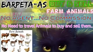 Barpeta :- Buy & Sale Farm Animals ♧ Cow, Buffalo, Sheeps - घर बैठें गाय भैंस खरीदें बेचें..