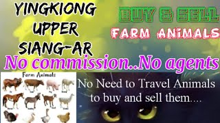 Yingkiong Upper Siang :- Buy & Sale Farm Animals ♧ Cow - घर बैठें गाय भैंस खरीदें बेचें..