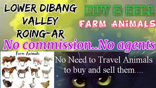 Lower Dibang Valley  Roing :- Buy & Sale Farm Animals ♧ Cow - घर बैठें गाय भैंस खरीदें बेचें..