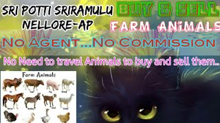 Sri Potti Sriramulu Nellore :- Buy & Sale Farm Animals ♧ Cow - घर बैठें गाय भैंस खरीदें बेचें..