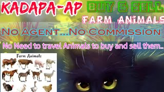Kadapa :- Buy & Sale Farm Animals ♧ Cow, Buffalo, Sheeps - घर बैठें गाय भैंस खरीदें बेचें..