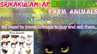 Srikakulam :- Buy & Sale Farm Animals ♧ Cow, Buffalo, Sheeps - घर बैठें गाय भैंस खरीदें बेचें..